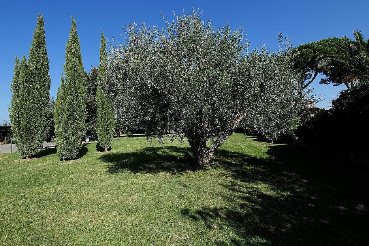 Agriturismo Il Pelago Castagneto Carducci Exterior photo
